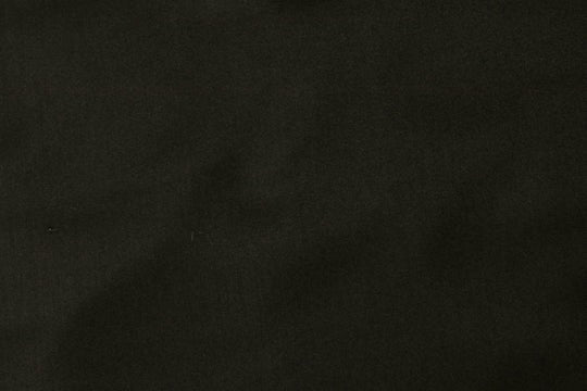 Beauty Bush Polyester & Viscose Plain Fabric