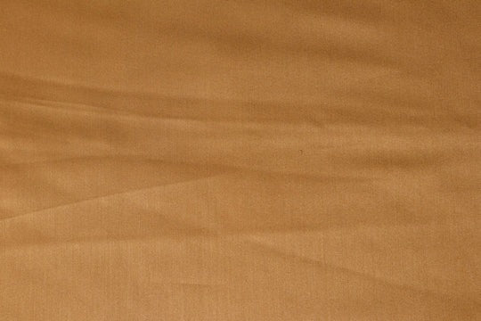 Beauty Bush Polyester & Viscose Plain Fabric