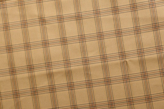Beauty Bush Polyester & Viscose Checks Fabric
